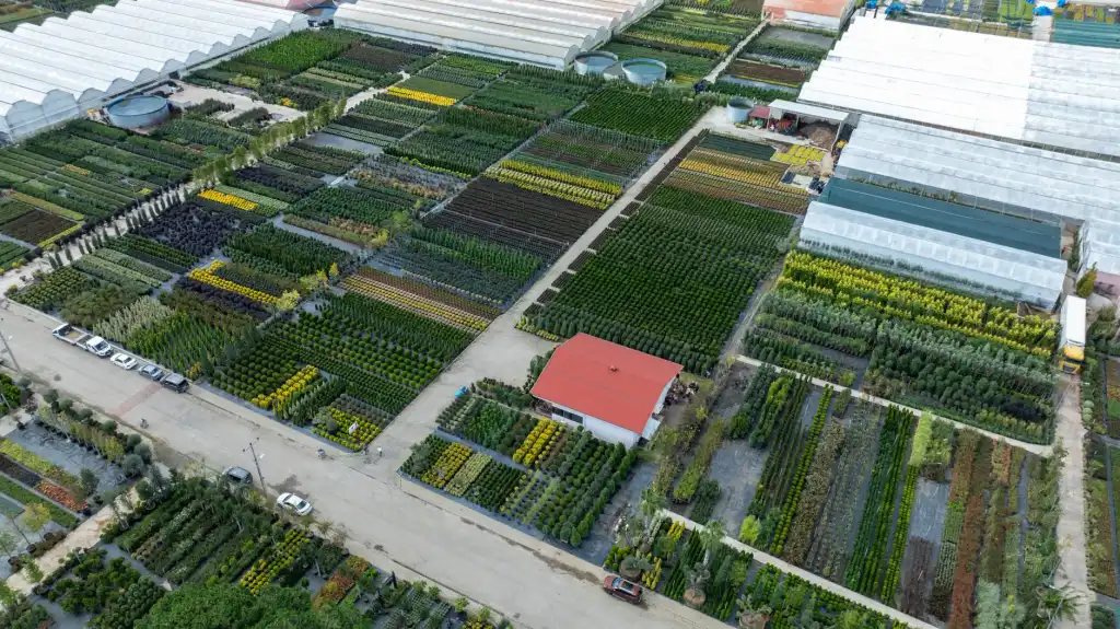 沈阳广告设计公司解析:企业品牌视觉物料制作的完整流程与要点