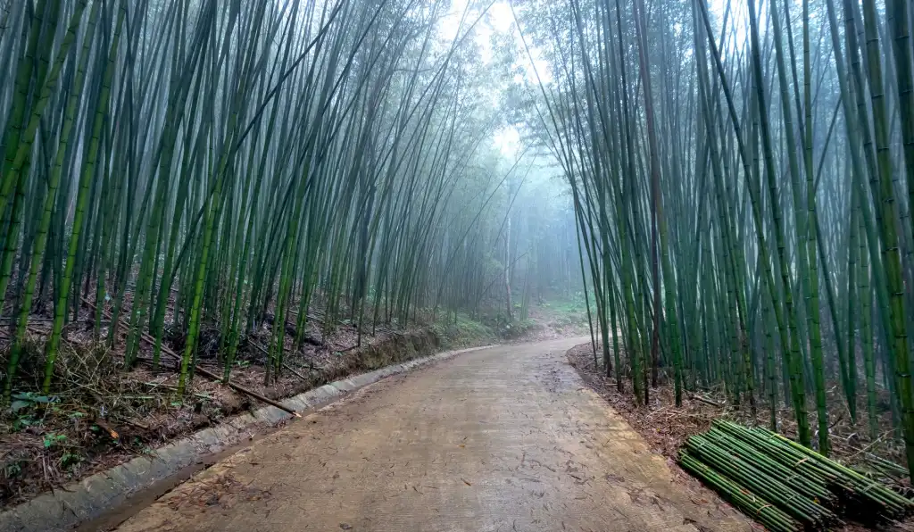 从设计到成品：沈阳广告图文制作全流程质量管控要点