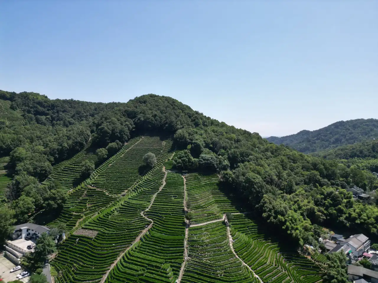 沈阳广告设计行业2025年技术趋势分析与应用前景展望