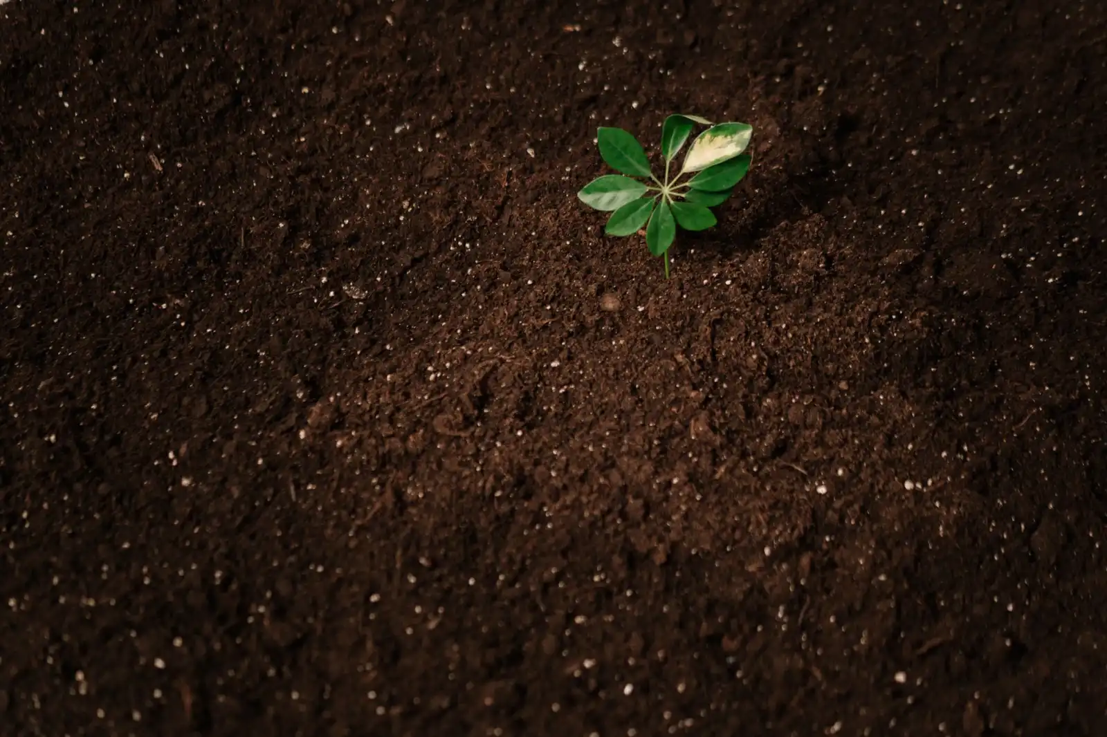 沈阳广告设计行业观察：图文制作技术升级如何影响企业品牌传播效果