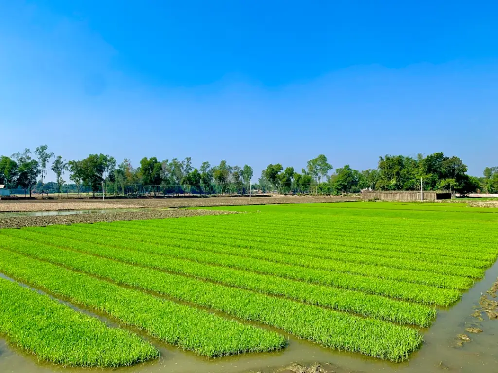 沈阳企业品牌VI设计全流程解析:从调研到落地的关键步骤
